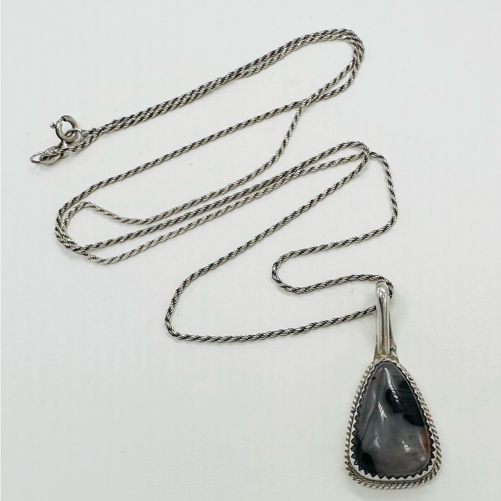Ahasteen Sterling Silver Petrified Wood Pendant Necklace Rope Chain Navajo - Picture 3 of 6